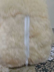 Cute Cream Teddy Bear