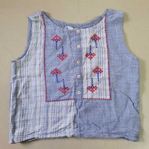 Indo Western Crop Top