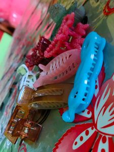 Hair Clips
