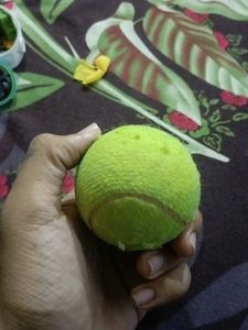 Tennis Ball