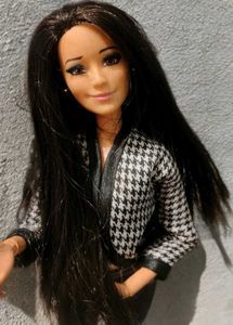 Barbie Raquelle Life In a Dreamhouse