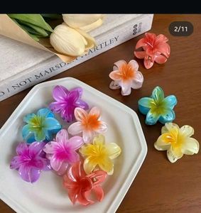 Trending Flower Hair claw Pack Of 6