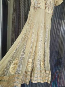 Elegant Ethnic Gown