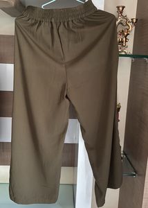 Stylish Plazoo Pant for Young girls
