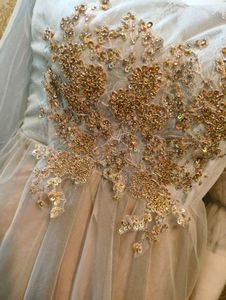 Goldish Grey Embellished Tulle Dress