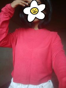 Red Crop Top