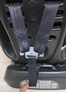 R For Rabbit Car Seat.