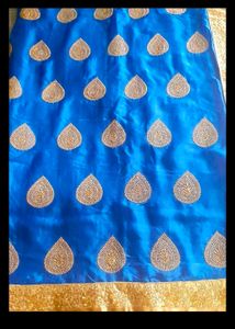 Blue Sari With Stitch Blouse