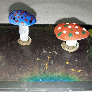 Mashroom Showpeace.