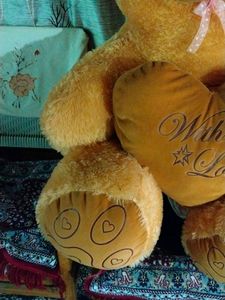 Teddy Bear 🐨