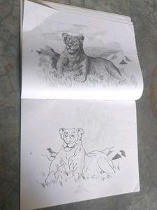 pencil shading/cushions