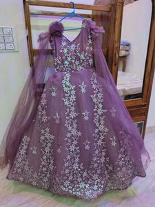Elegant Ethnic Gown