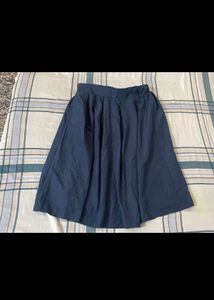 Navy Blue Skirt