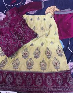 Elegant Embroidered Lehenga Choli Set