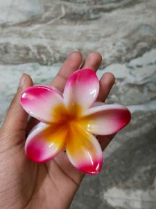 Frangipani Hair Clip