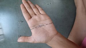 Silver Necklace And Matching Earing Set