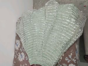 Embroidered Lehenga Choli