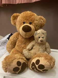 Combo Of Teddy Bear 🧸
