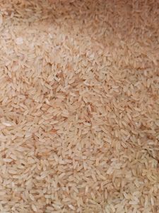 India Gate Rice (20kg)