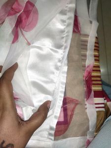 Organza Kurta