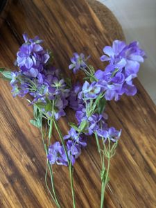 Purple Flowers