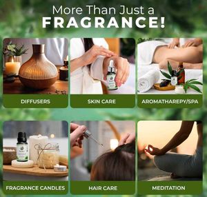 ZenAum Essences Tea Tree Essential Oil