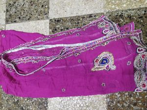 Beautiful Sea Green Lehanga Choli