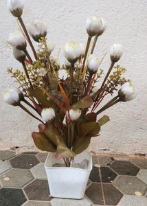 Flowers And Pot