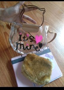 Transparent Handbags