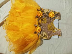Baby Net Frocks