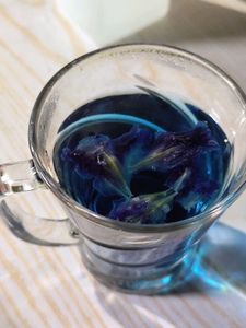 Butterfly Pea Flower Tea