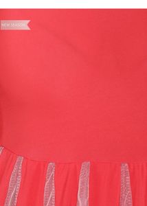 Flare Mesh Dress