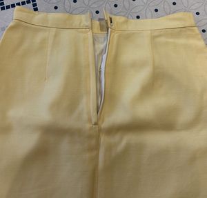 Sober And Elegent Skirt