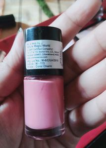 Combo Of 4 Nailpolish