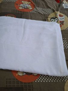 White Saree With Blouse and Petticoat