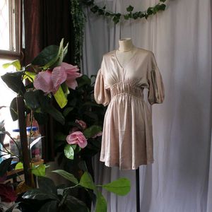 H&M Elegant Champagne Dress