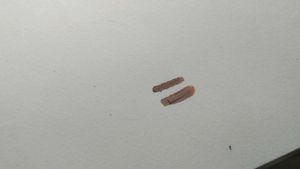 Flormar Lipstick Matte Colour