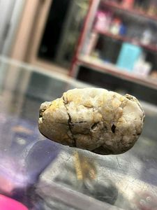 Two pieces of shivling found while digging