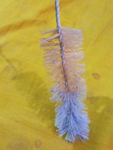 Bottle Brush Cleaner