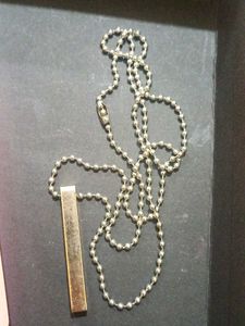 cute earrings &amp; silver chain