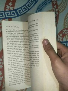 Novel