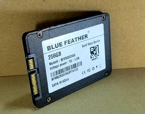 BLUE FEATHER 256GB SATA III Solid State Drive(SSD)
