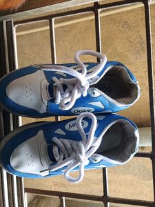 Blue &amp; White  Shoes