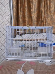 love birds cage