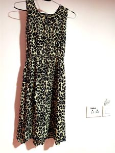 Leopard Print Dress