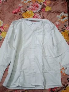 Orange Button-Down Shirt