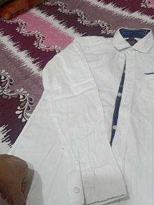 Pure Cotton Shirt