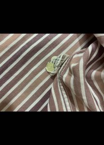Lacoste Shirt For Men’s.