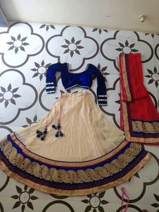 Embroidered Lehenga Choli Set