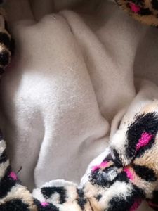 Animal Print Lower For Kids
